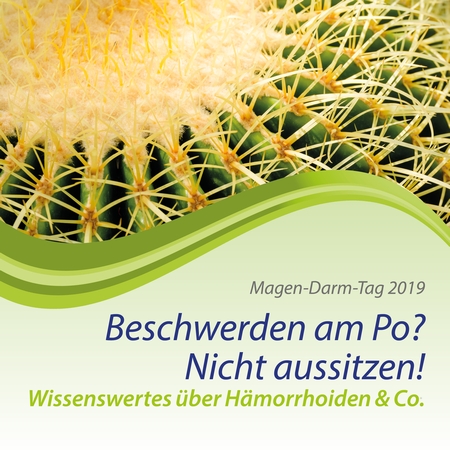 Magen-Darm-Tag 2019: Beschwerden am Po? Nicht aussitzen! Magen-Darm-Tag 2019: Beschwerden am Po? Nicht aussitzen!