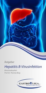 Ratgeber Hepatitis B-Virusinfektion