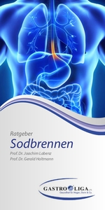 Ratgeber Schluckstörungen, Titelbild